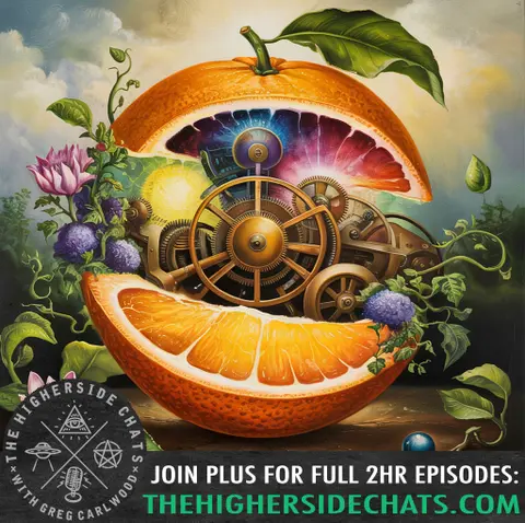 Daniel Roytas | The Vitamin Deficiency Deception, Food Synergy, & Can You Catch A Cold?
