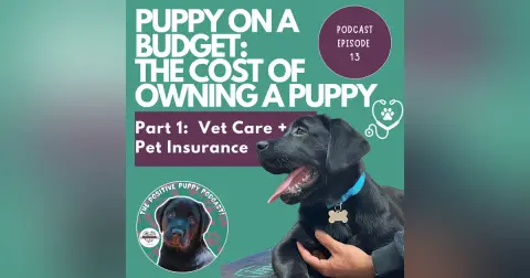 Episode 13 (Part 1) Puppy on a Budget: The Cost of Owning a Puppy
