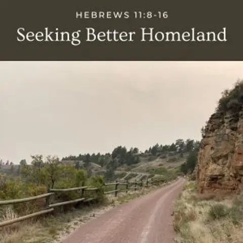 Seeking Better Homeland