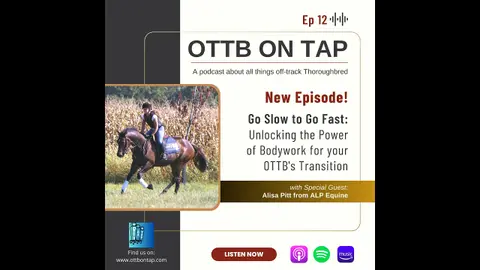 Ep.12 -- Go Slow To Go Fast: Unlocking The Power of Bodywork for your OTTBs Transition w/Alisa Pitt