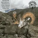 Nick Hoffman – One Rock at a Time: A Stone’s Sheep Dream Come True