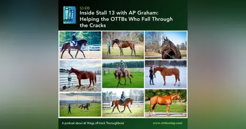 S3 E10: Inside Stall 13 with AP Graham: Helping the OTTBs Who Fall Through the Cracks