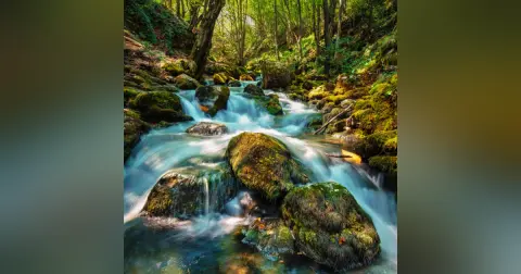 Watersheds & Fire