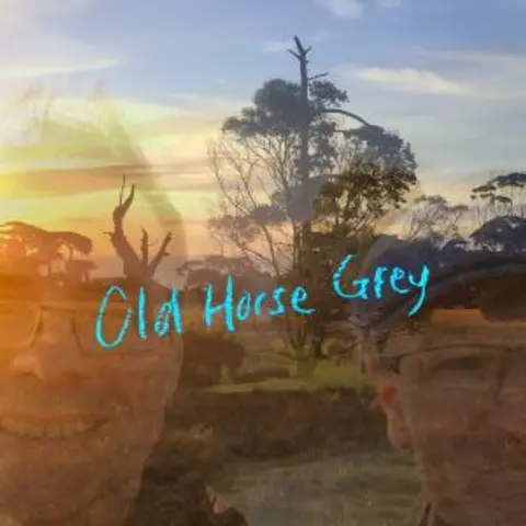 Old Horse Grey