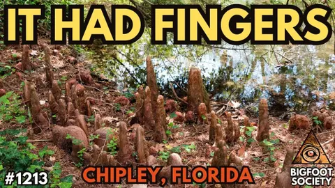 Two Field Workers Saw Something Pull Itself Through a Florida Swamp