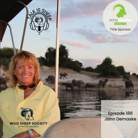 Talking wild sheep, 1Campfire and a life of service with Jann Demaske
