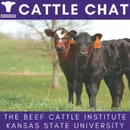 Input Costs, Pasture Turnout, Supplements