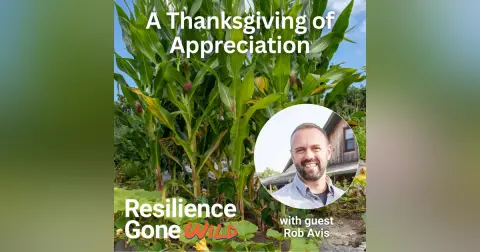 A Thanksgiving of Appreciation: Resilience Takes Root When We Honor One Another