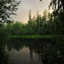 Lluvia Relajante sobre un Arroyo en el Bosque ????️ Duérmete INMEDIATAMENTE y Relájate