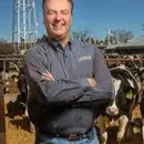 Tesla-ish Cows – Frank Mietloehner