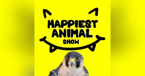 City Animals (with comedian Ian Karmel)