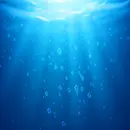 George Wiseman | AquaCure Updates, Alternative Energy, Alchemy, & The Collective