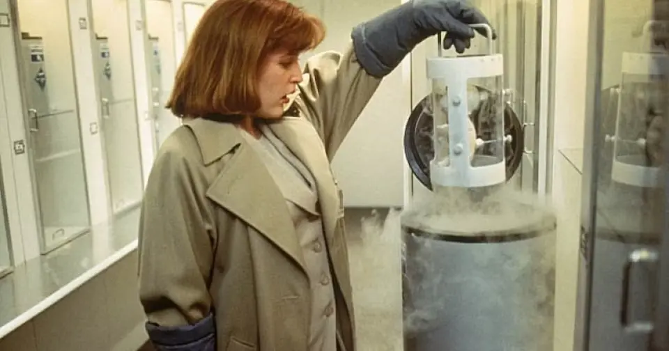the x-files season 1, the erlenmeyer-flask