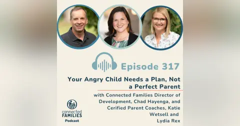 Your Angry Child Needs a Plan, Not a Perfect Parent