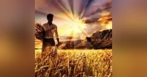 The Harvester and the Winnower