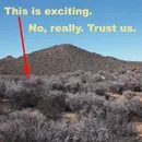 S5E35: Blackbrush and the Desert's Long Memory