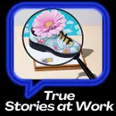 The Surprises that Happen During HR Investigations: Veronica
