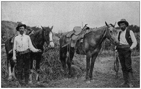 A COWBOY DETECTIVE (CHAP 14-PT 1)