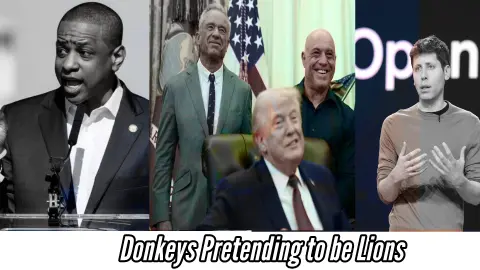 Donkeys Pretending to be Lions - Insanity Check