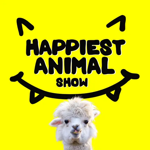Animals That Look Happy (with improv comedian and actor Colin Mochrie)