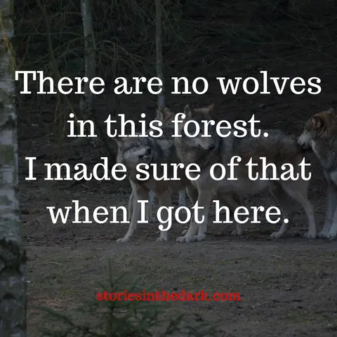There Are No Wolves in this Forest