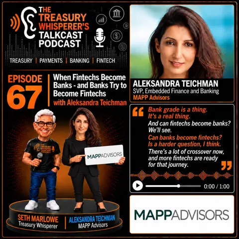 Episode 67 - When Fintechs Become Banks - and Banks Try to Become Fintechs with Aleksandra Teichman (MAPP Advisors)