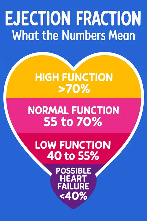 Ejection Fraction