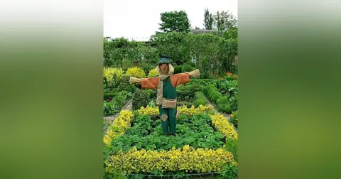 Scarecrows in a Cucumber field