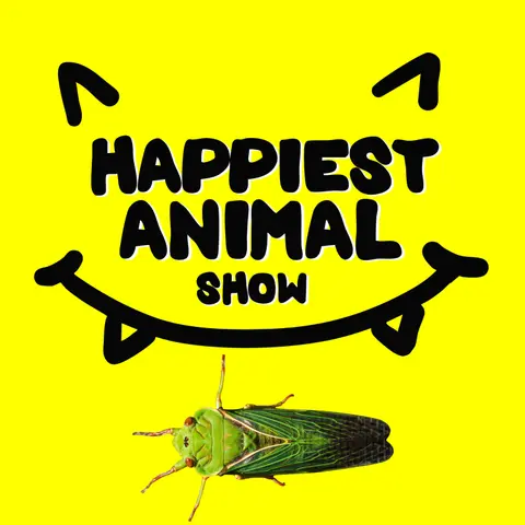 Loud Animals (with artist Mike Matola and a Jimothy the Raccoon song)