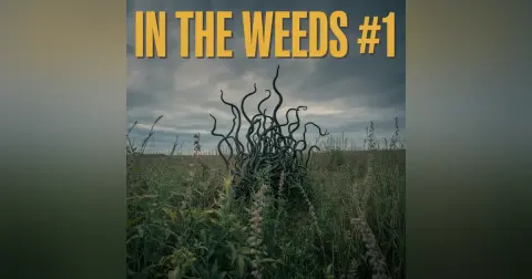 In The Weeds: Episode 1