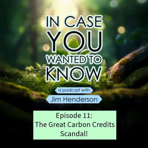 The Great Carbon Credits Scandal!