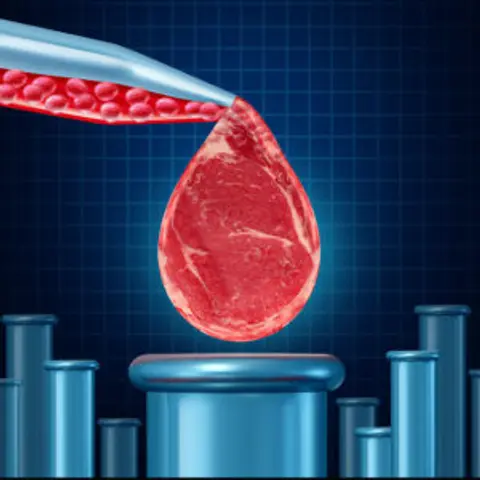 Dr. Frédéric Leroy | The Food Control Cult, Anti-Meat Elite, & The Frankenfood Industrial Complex