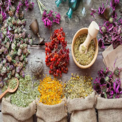 Jerry M. Kantor | Sane Asylums: The Success of Homeopathy Before Psychiatry Lost Its Mind