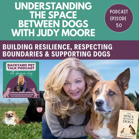 Understanding The Space Between Dogs with Judy Moore
