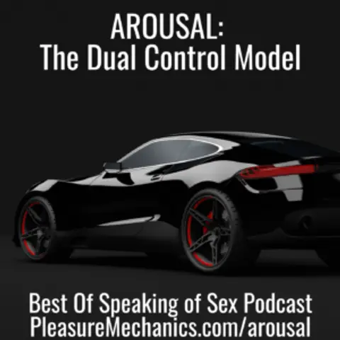 Arousal: The Dual Control Model