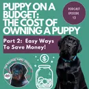 Episode 13: (Part 2) Puppy on a Budget - The Cost of Owning a Puppy