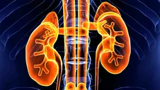 Benign Renal Masses