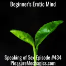 Beginner’s Erotic Mind