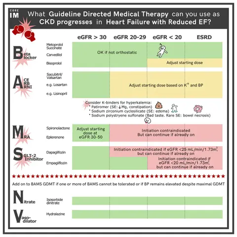 #135 Guideline Directed Medical Therapy Part II: 5 Pearls Segment