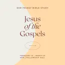 Luke (Jesus in the Gospels)