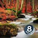Babbling Brook in the Woods 8 Hours | Study, Sleep or Relax to Water Sounds