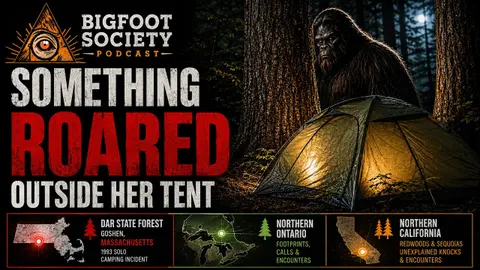 Something Roared Outside Her Tent in DAR State Forest