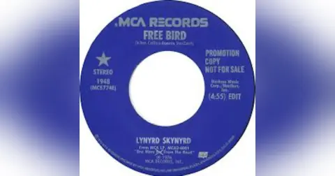 10–Free Bird