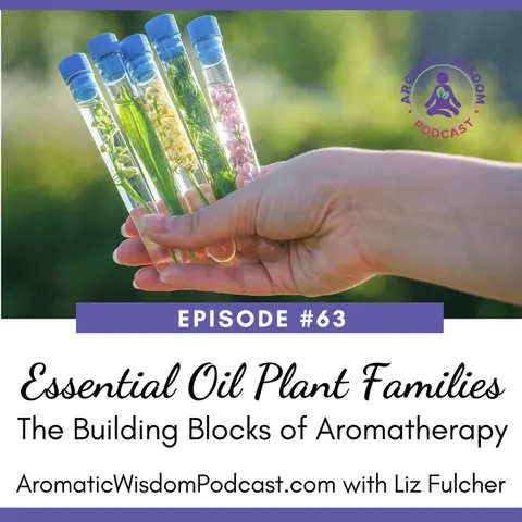 63: Essential Oil Plant Families: A Guide to Aromatherapy's Building Blocks