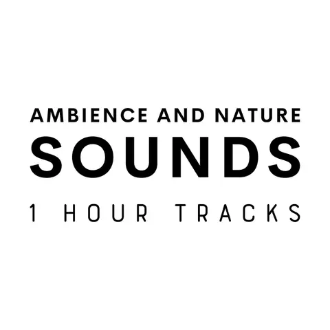 Ambience: Calm waves lapping over beach rocks on a Danish island (1 hour)