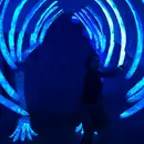 The Kids Visit Meow Wolf