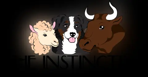 Welcome to the Instinctive Australian Shepherd
