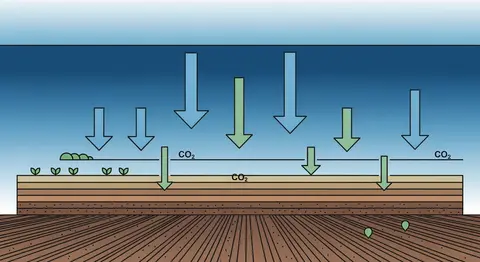 Carbon Farming und regenerative Landwirtschaft: Chancen, Kosten und Regeln