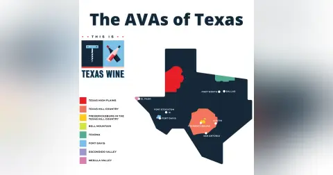 Texas Wine In 10 Minutes