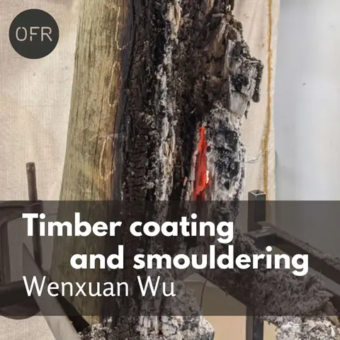 187 - Smouldering of preserved timber with Wenxuan Wu